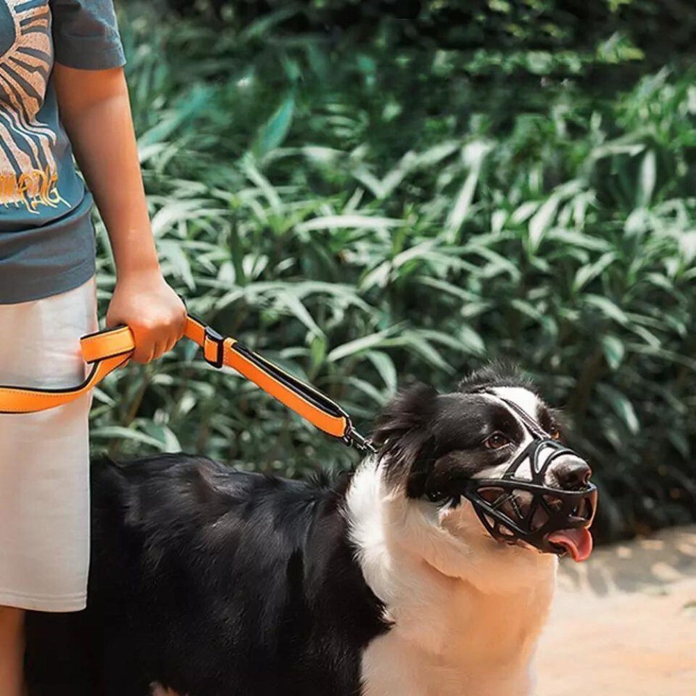 Lightweight, breathable dog muzzle for comfortable pet training, safety, & behavior control.