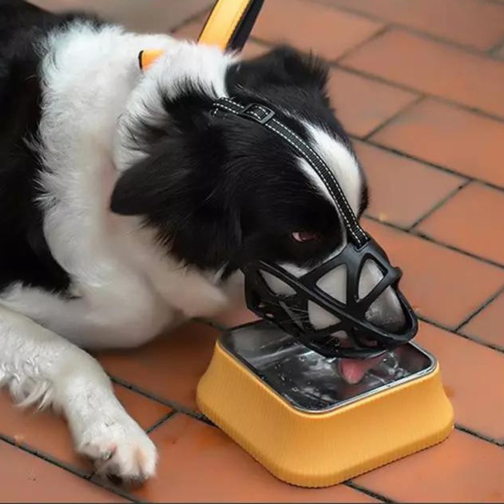 Various angles of a soft, breathable dog muzzle, essential pet accessory for training & safety.