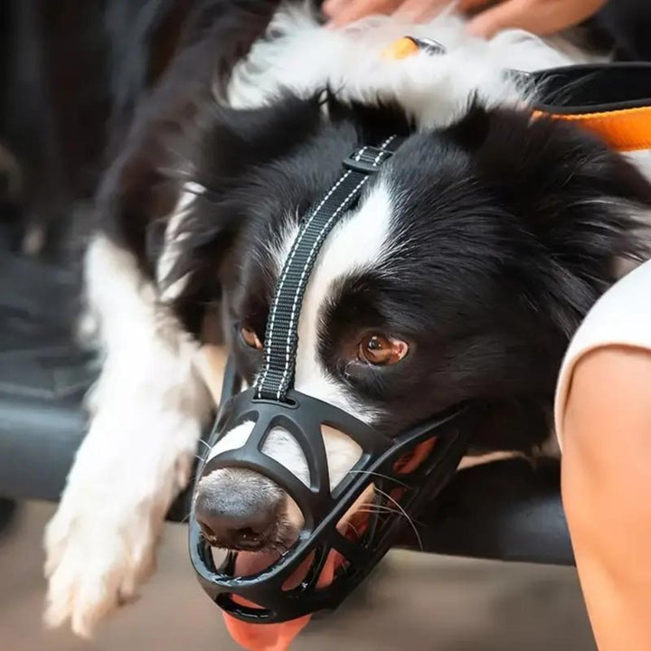 Safe, lightweight dog muzzle for training, preventing bites & barking. Breathable pet accessory.