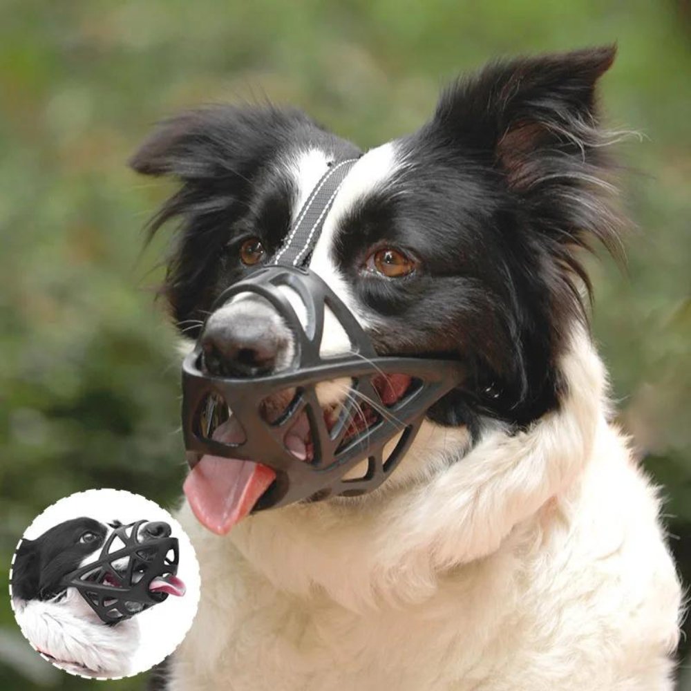 Dog wearing a soft, breathable muzzle for training, comfort, & safe behavior control.