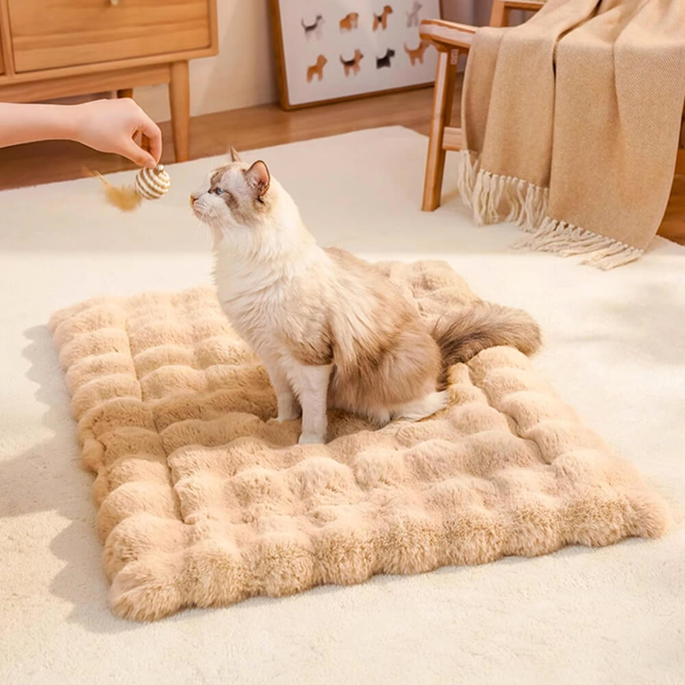 Pet accessory: Faux rabbit fur mat and pillow, ideal for small dogs and cats