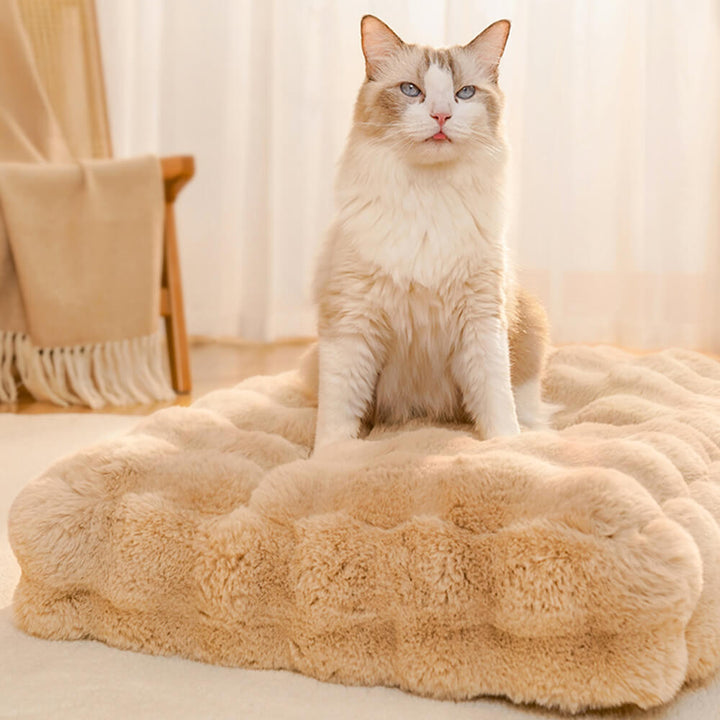 Close-up of faux rabbit fur texture on pet mat, soft and plush for dogs & cats