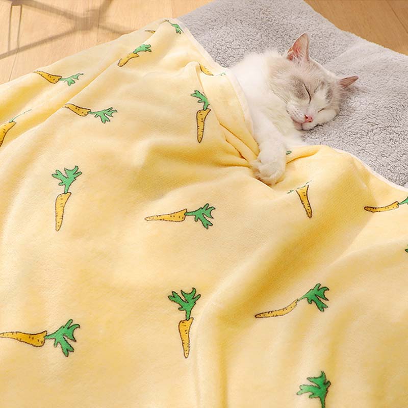Fluffy pet blanket, white, for dog beds and cat beds, providing ultimate animal comfort