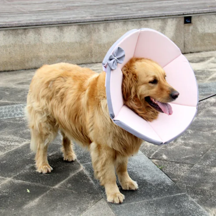 Lightweight dog recovery e-collar, a soft protective cone for pets, ensuring comfort and wound healing.