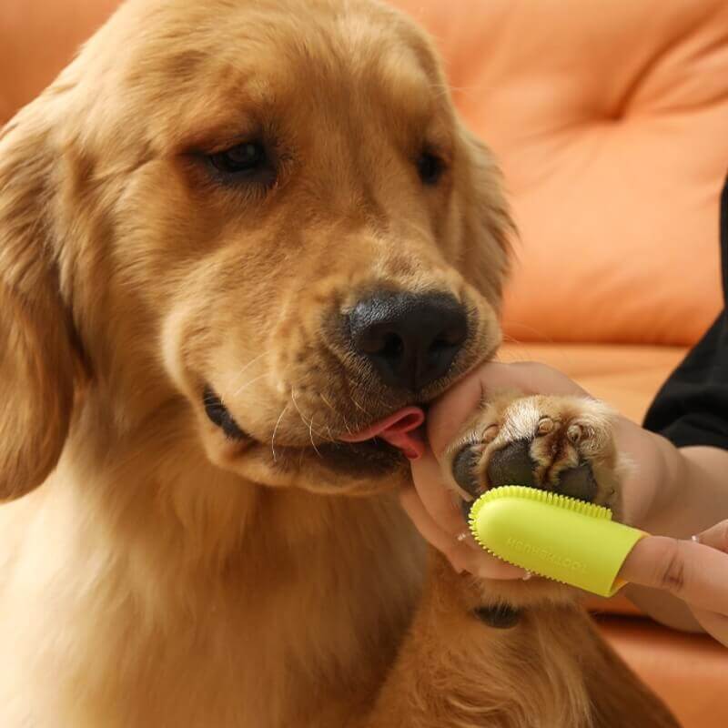 Pet finger toothbrush made from non-toxic material, ensuring safe dog and cat dental care.