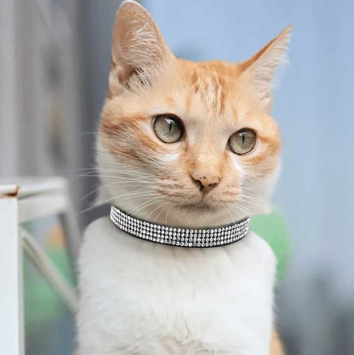 Unisex soft suede pet collar in red, embellished with rhinestones, for dog or cat safety