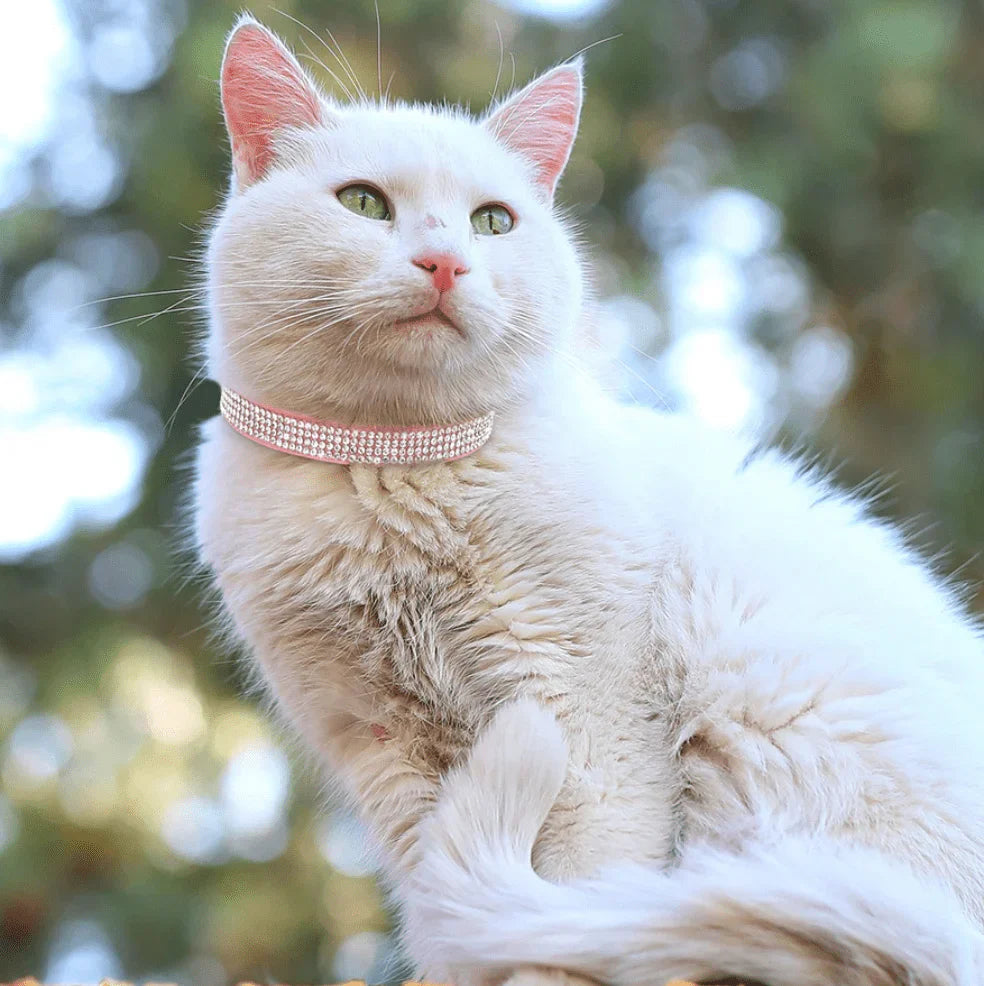 Elegant ivory suede pet collar with crystal clear rhinestones, perfect for miniature pets