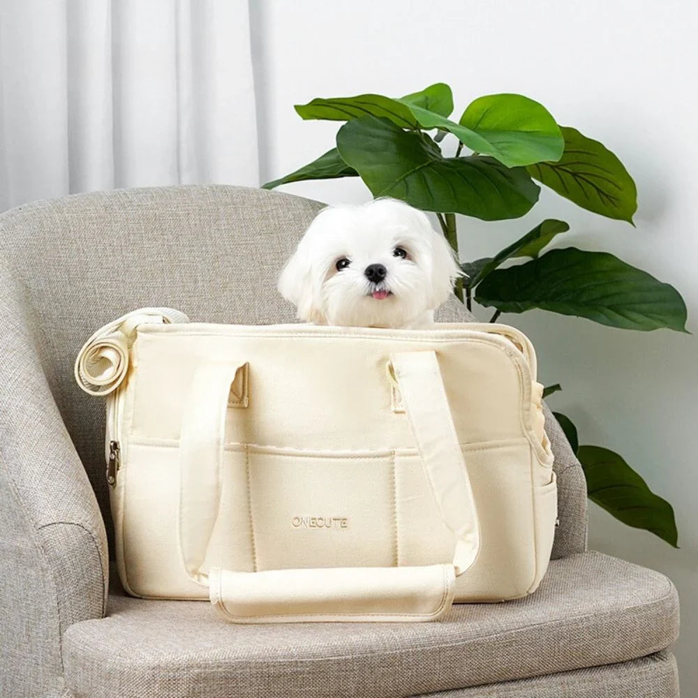 Small dog peeking out of a modern grey soft-sided pet travel carrier with safety harness inside