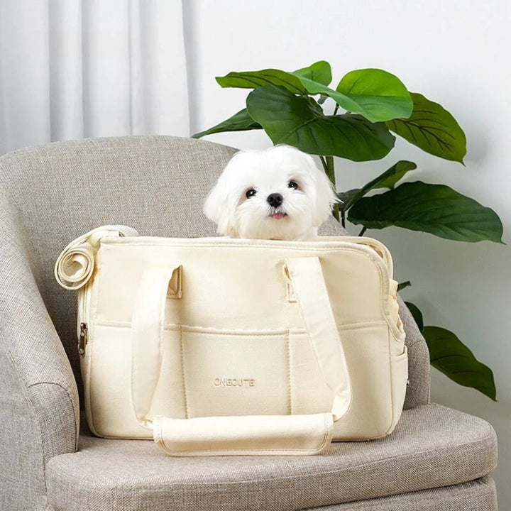 Small dog peeking out of a modern grey soft-sided pet travel carrier with safety harness inside
