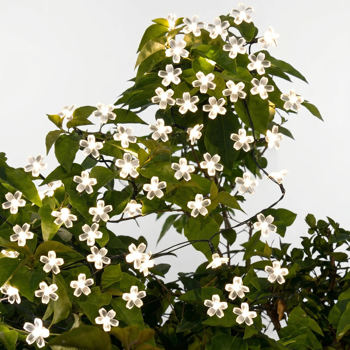 Weather-resistant solar LED blossom fairy lights, ideal for enchanting garden & yard ambiance.