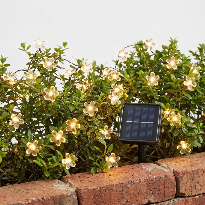Decorative solar LED blossom string lights illuminating a patio at dusk, creating a warm glow.