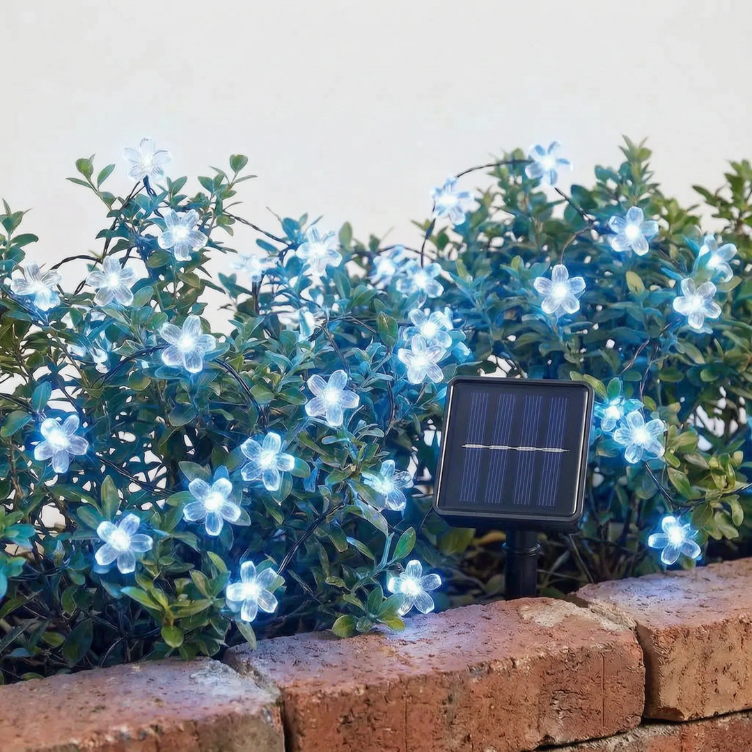 Outdoor solar blossom fairy lights with an integrated panel, perfect for garden & patio decor.