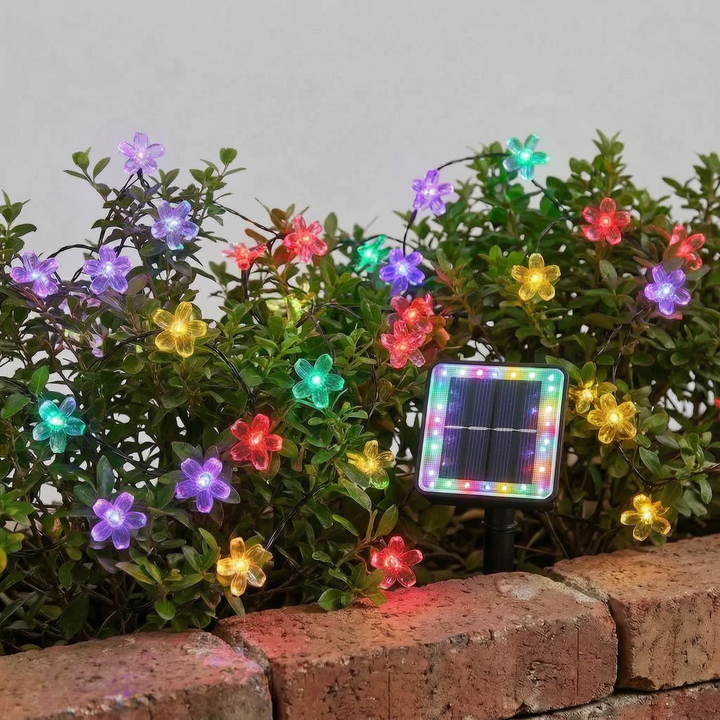 Eco-friendly solar blossom LED string lights, weather-resistant for beautiful garden & patio illumination.