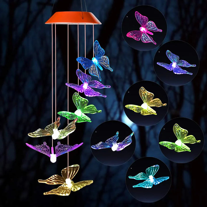 Homestead garden decorated with multiple solar butterfly lights, showcasing their color-changing effect.