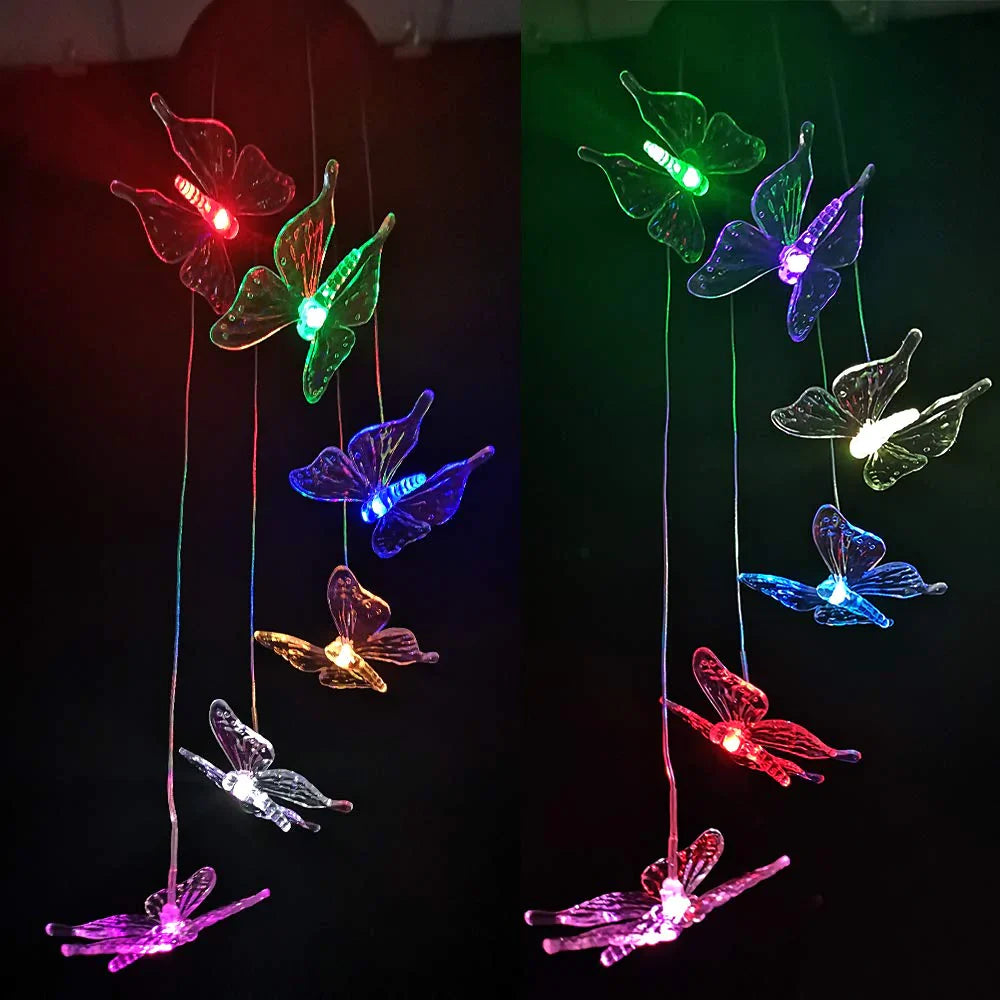 Outdoor lighting solution: solar butterfly stakes providing ambient, color-changing light to a garden path.