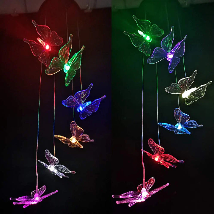 Outdoor lighting solution: solar butterfly stakes providing ambient, color-changing light to a garden path.