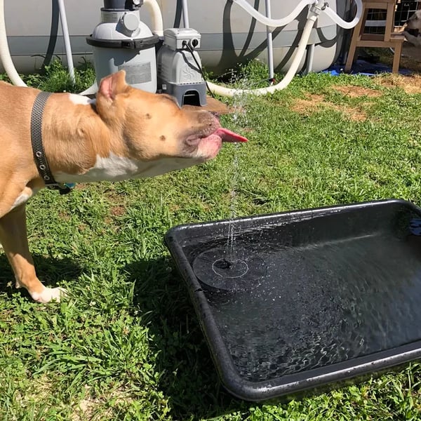 Solar-powered water feature for patio, a floating fountain pump for bird baths