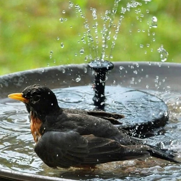Eco-friendly solar fountain floating on water, ideal pond pump for outdoor garden accents.