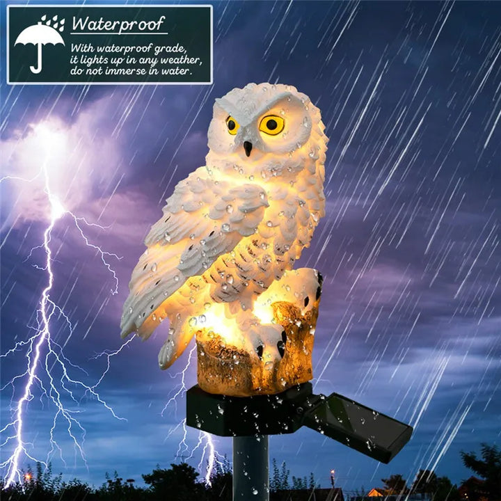 Unisex solar owl LED lamp, brightens gardens and lawns with eco-friendly outdoor lighting.