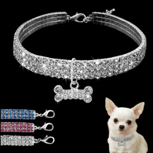 Elegant dog collar featuring brilliant rhinestones and a unique bone charm, perfect for fashionable pets.