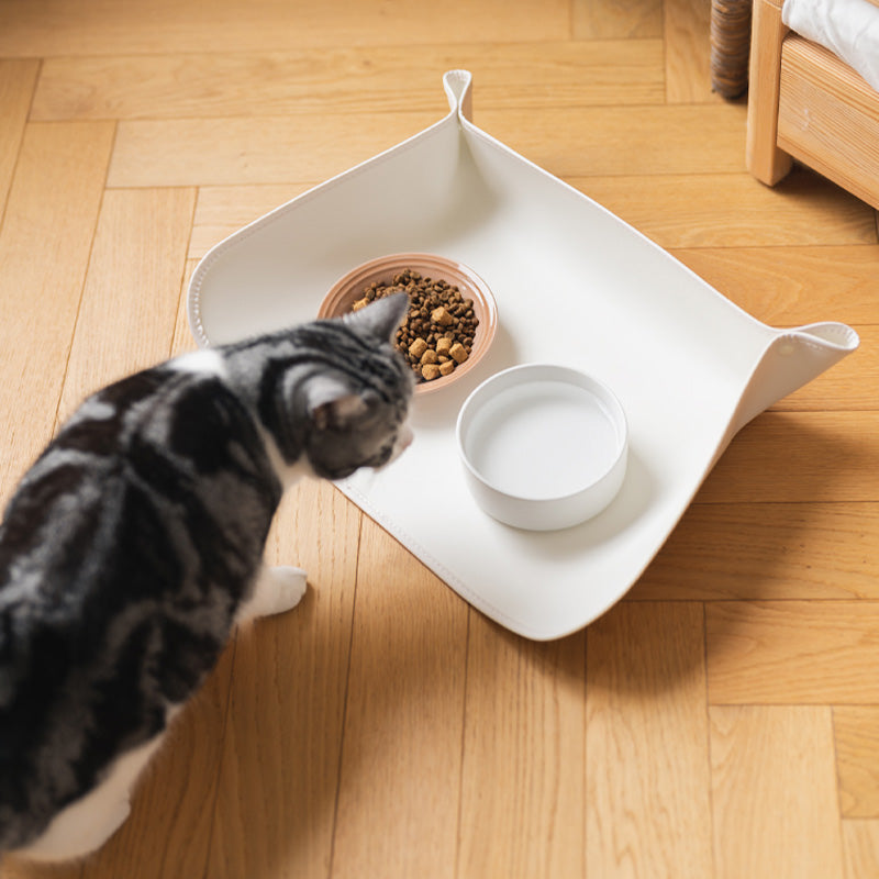 Spill-proof silicone pet feeding mat, waterproof & easy to clean for dogs & cats