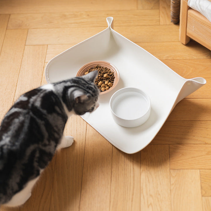 Spill-proof silicone pet feeding mat, waterproof & easy to clean for dogs & cats