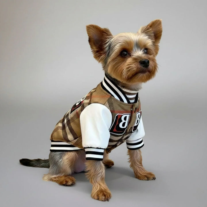 Sporty dog plaid baseball jacket in red, white & blue for stylish pet outerwear