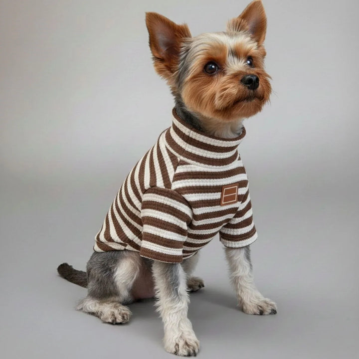 Plaid baseball style dog jacket with snap closure, perfect pet clothing for active dogs