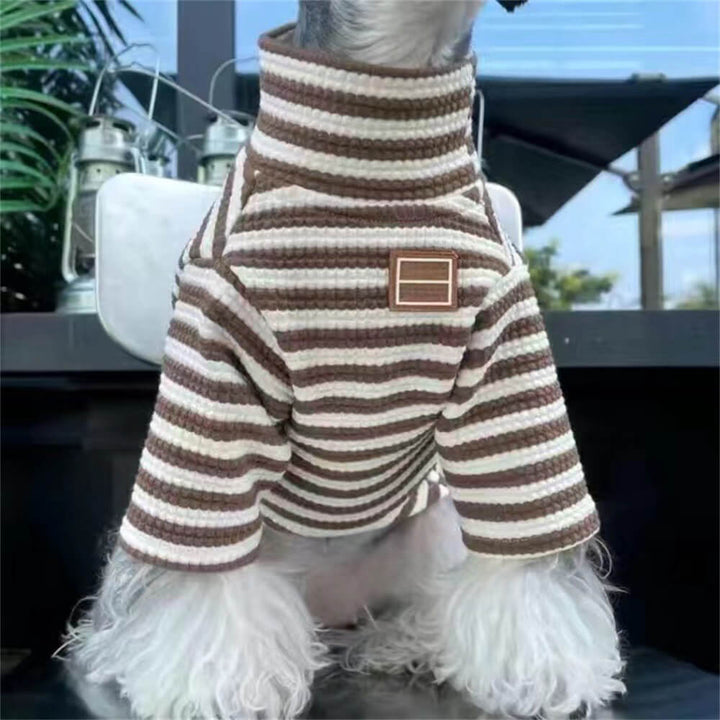 Stylish pet dog in a plaid baseball jacket, ready for outdoor adventures & dog fashion