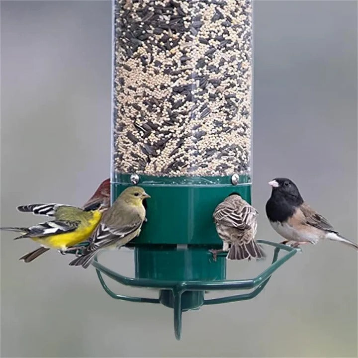 Squirrel-proof bird feeder with robust metal cage for outdoor garden birdwatching, hanging design.
