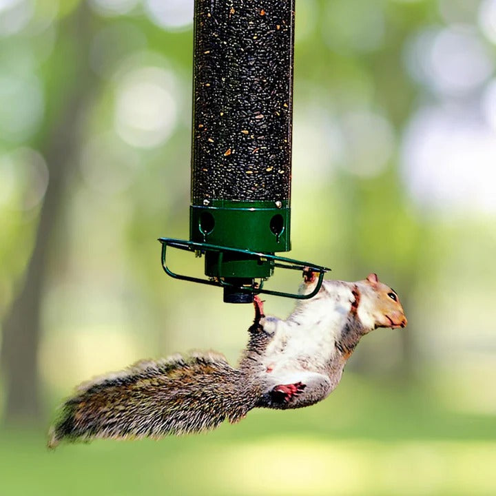 Durable metal squirrel-proof bird feeder, perfect for garden hanging and attracting wild birds.