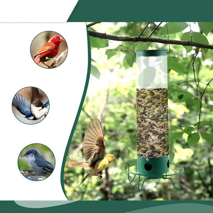 Outdoor metal bird feeder featuring a strong squirrel-proof cage, ideal for garden birdwatching.