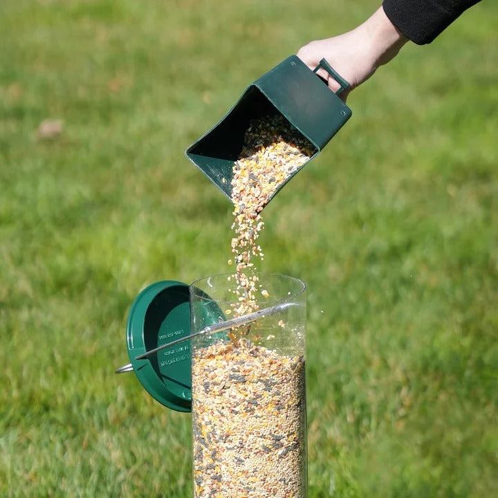 Hanging squirrel-proof bird feeder with a durable metal cage, essential pet supplies for birds.