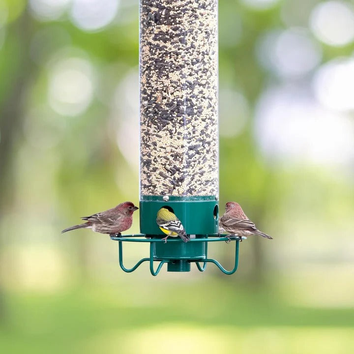 Robust metal squirrel-proof bird feeder, a hanging solution for garden and outdoor bird feeding.