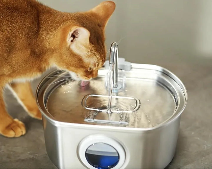 Quiet 3.2L pet water dispenser made of sleek stainless steel for cats and dogs.