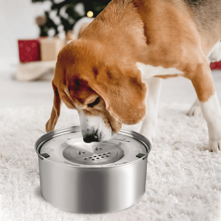 Dog water bowl: durable stainless steel, anti-spill design for mess-free pet hydration