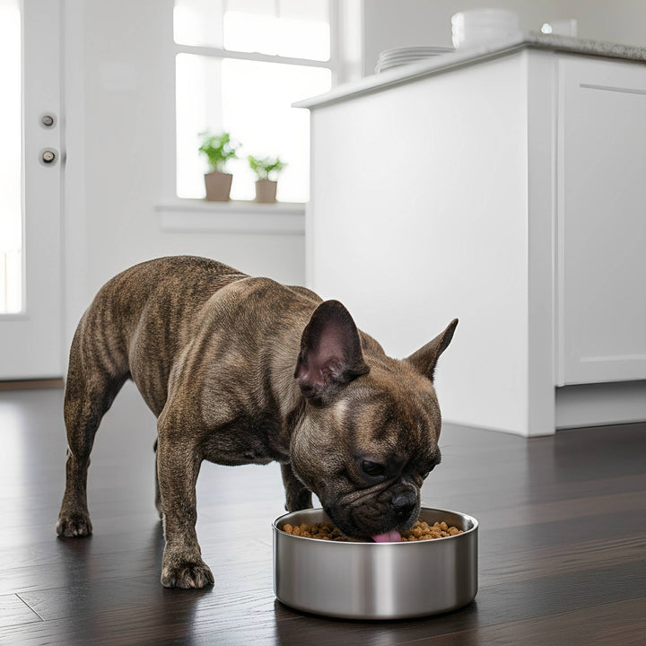 Stainless steel non-slip dog bowl, 32 oz capacity, for pet feeding solutions