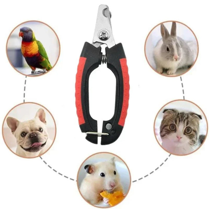Professional stainless steel pet nail trimmers, suitable for home dog and cat grooming.