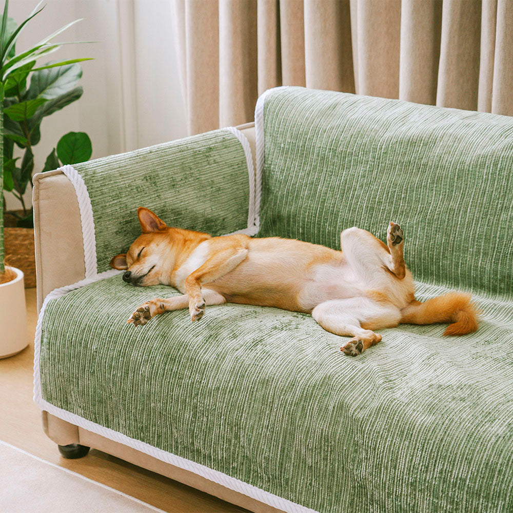 Beige and white striped chenille couch cover, anti-slip furniture protector for pet owners; home decor.