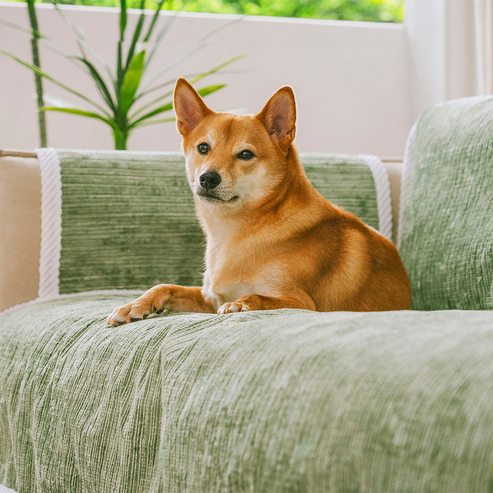 Striped pet couch cover with armrest, designed for durability and pet protection; home decor accent.