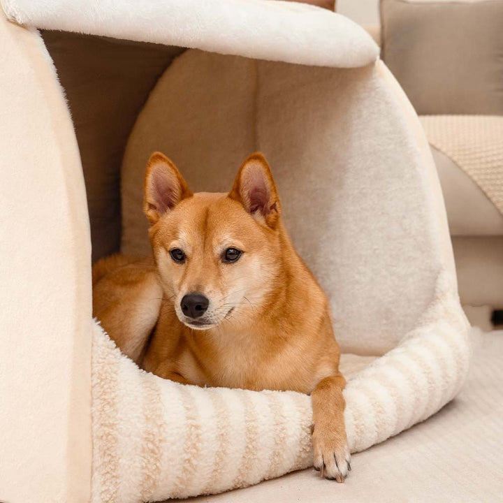 Close-up of a washable, striped orthopaedic dog bed fabric, highlighting pet comfort and home decor appeal
