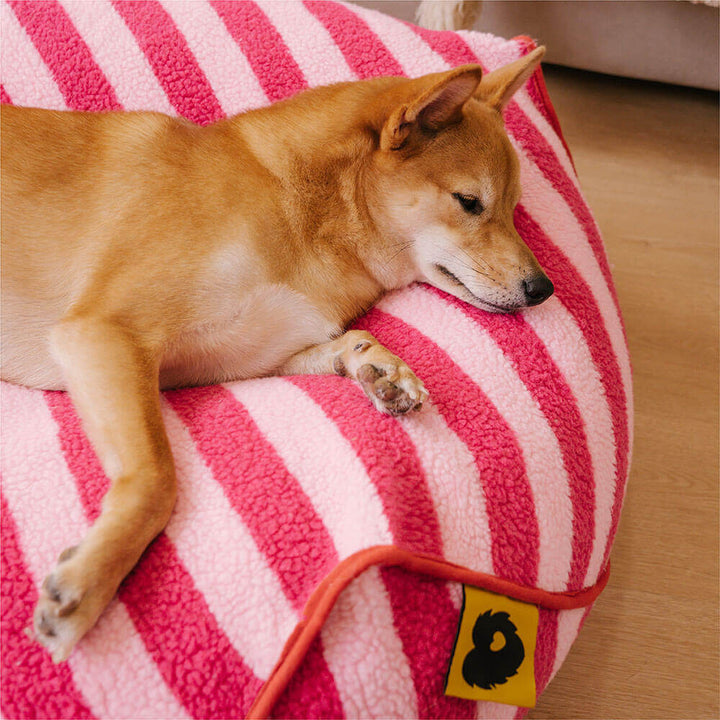 Calming striped dog bed, unique polygonal shape, washable for hygiene.