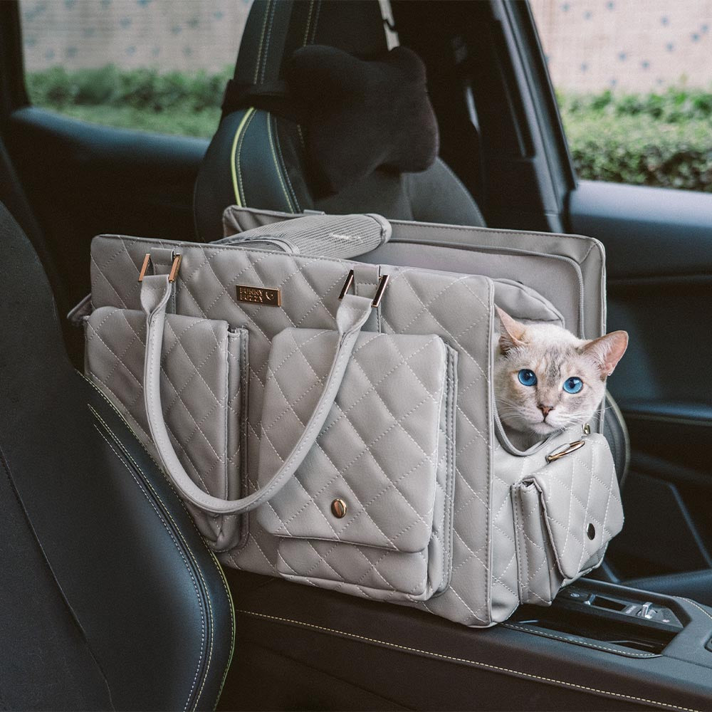 Stylish pet travel carrier for small cats and puppies, black with mesh windows and top handle.