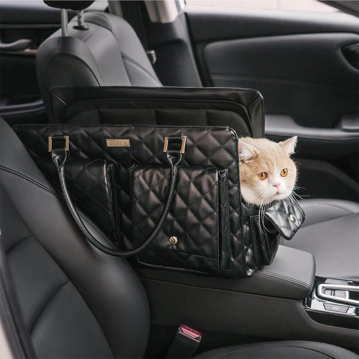 Unisex black pet carrier for small dogs & cats, featuring breathable mesh and comfortable design.