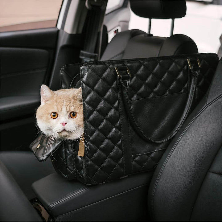 Portable pet travel bag for cats and puppies, front view showing zippered entry and mesh.