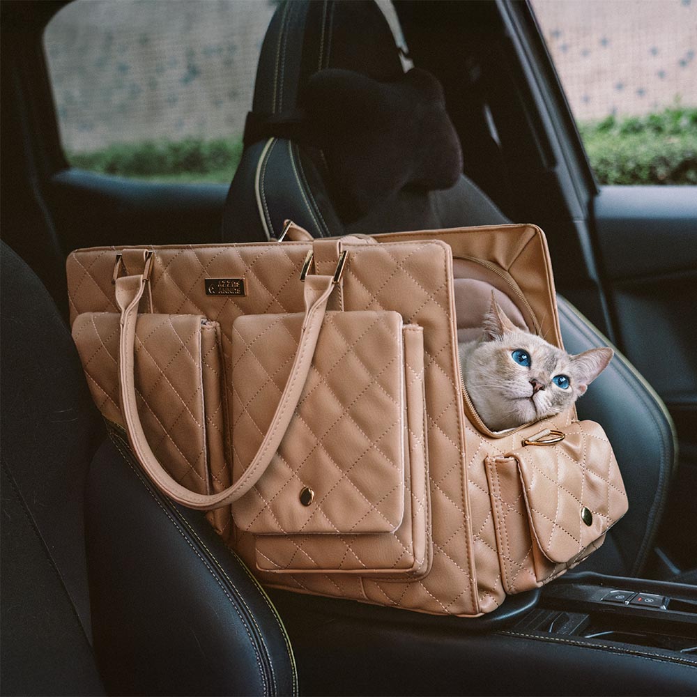 Compact pet carrier for small pets, demonstrating its lightweight and portable nature.