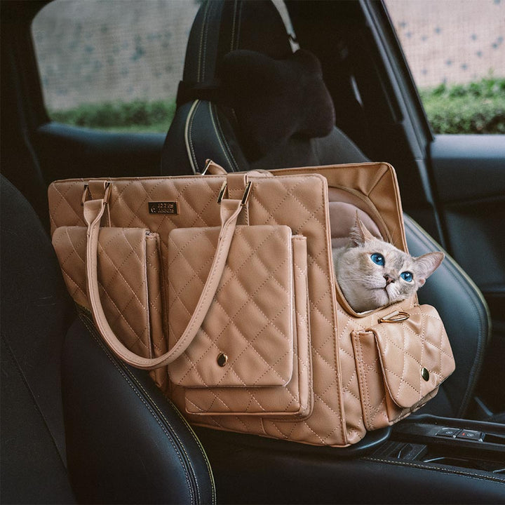 Compact pet carrier for small pets, demonstrating its lightweight and portable nature.