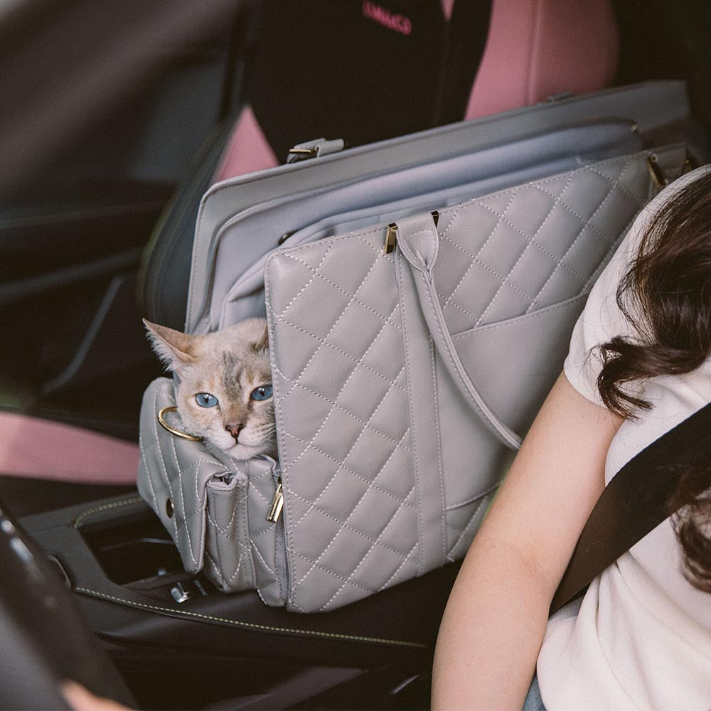 Black pet car seat/carrier for puppies and small cats, ensuring travel safety.