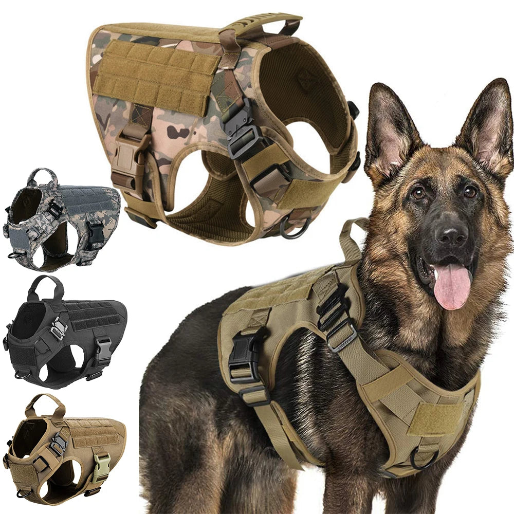 Large breed tactical dog harness with metal buckles, high-strength nylon, and matching heavy-duty leash