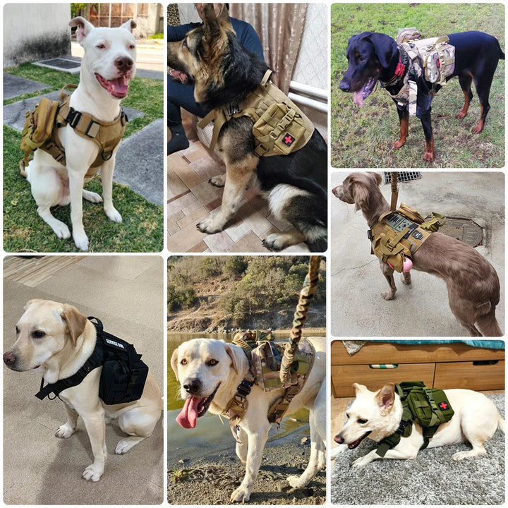 Nylon tactical dog harness with strong handle and matching leash, built for control of large dogs